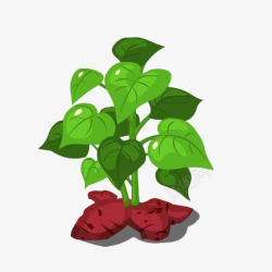 卡通绿色美味营养红薯红薯苗插画素材