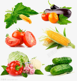 番茄黄瓜玉米酥水果蔬菜高清图片