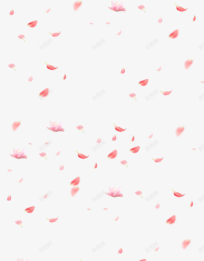 漂浮植物粉色模糊花瓣png免抠素材_新图网 https://ixintu.com 植物 模糊 漂浮 粉色 花瓣
