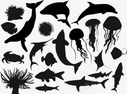 海洋生物剪影海洋生物剪影鲨鱼水母螃蟹高清图片