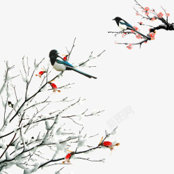挂在树枝上的雪树枝上的喜鹊高清图片