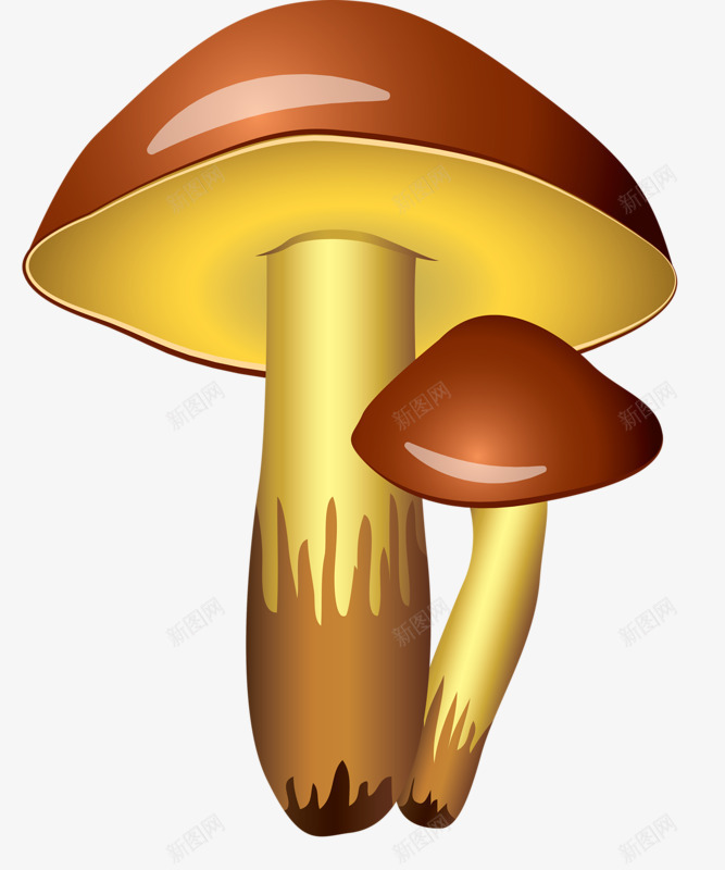 棕色蘑菇png免抠素材_新图网 https://ixintu.com 卡通 手绘 蘑菇 香菇