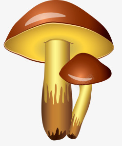 棕色蘑菇素材