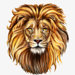 狮子头素材狮子高清图片