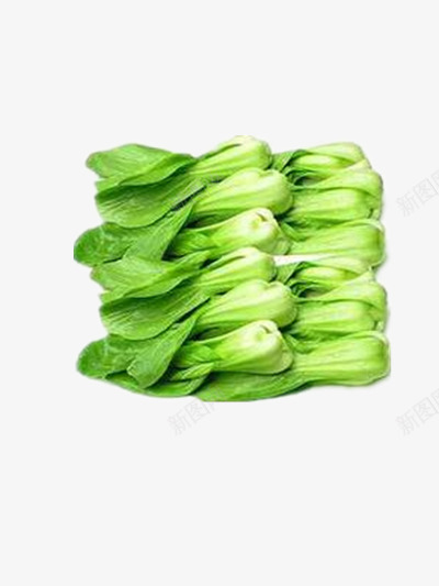 上海青png免抠素材_新图网 https://ixintu.com 健康 大头菜 小白菜 绿色蔬菜 绿色食物 蔬菜 青菜