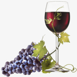 葡萄和红酒杯素材