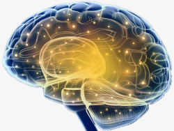 人体结构衣架大脑结构神经元示意图高清图片