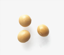 麦穗食物营养3粒散落的大黄豆高清图片