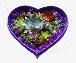 紫色花盒素材