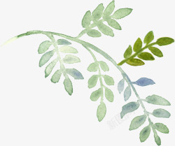 水彩牡丹手绘植物高清图片