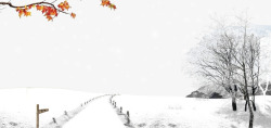 雪景道路冬天白色雪景海报背景高清图片