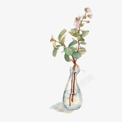 盛开的花手绘插在花瓶的一只盛开的花高清图片