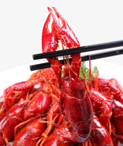 美食网页导航新鲜红亮的美味小龙虾高清图片