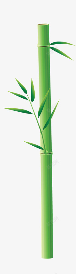 绿色竹子装饰素材