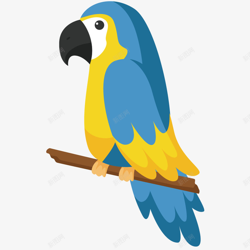 蓝色的鹦鹉png免抠素材_新图网 https://ixintu.com 动物 树枝上 蓝色 鸟类 鹦鹉