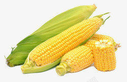 棒子PNG甜玉米包谷高清图片