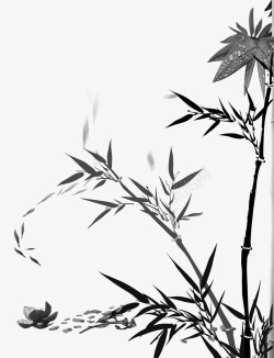 竹子黑白水墨竹林听雨高清图片