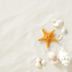 黄色日出沙滩沙滩海星高清图片