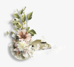 花卉相框淡雅鲜花高清图片