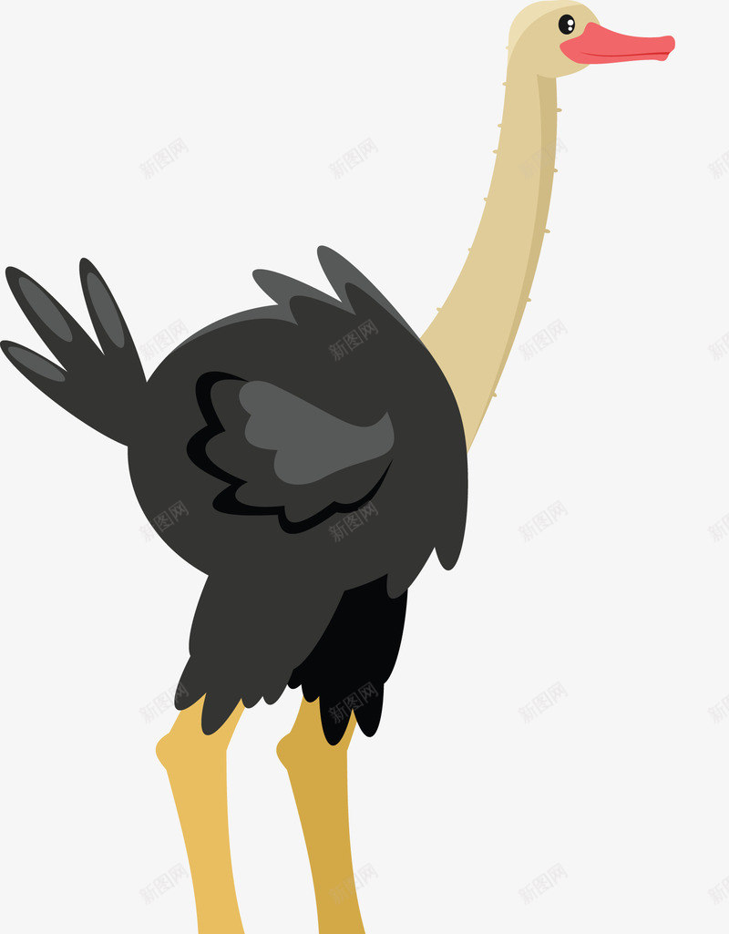 黑色鸵鸟png免抠素材_新图网 https://ixintu.com 矢量鸟类 矢量鸵鸟 矢量黑色鸵鸟 鸟类 鸵鸟 黑鸵鸟