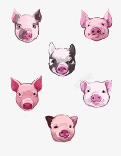 各种品种的猪头矢量图素材