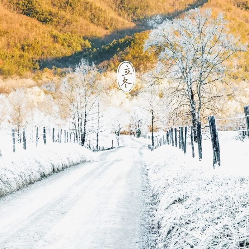 雪景立冬png免抠素材_新图网 https://ixintu.com 下雪 二十四节气 二十四节气之立冬 冬天 冬季 立冬 立冬节 美景 美景实物 节气 雪景