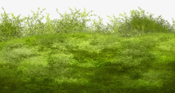 绿色草甸绿色草地草甸高清图片