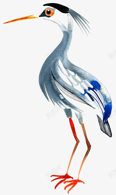 水鸟png免抠素材_新图网 https://ixintu.com 卡通 手绘鸟 水彩 鸟类