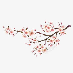 美观红梅树枝现代简约粉色树枝高清图片