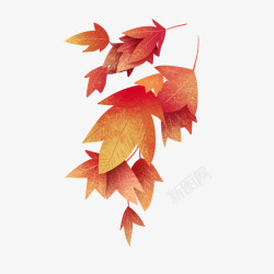 秋天的枫叶24素材