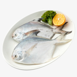 鲳鱼海鲜野生鲳鱼高清图片