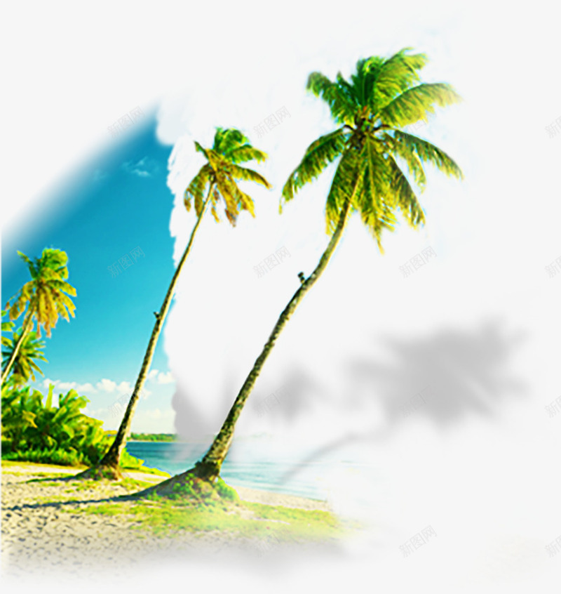 夏日蓝天沙滩椰树png免抠素材_新图网 https://ixintu.com 夏日 椰树 沙滩 素材 蓝天