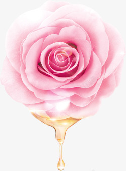 粉色植物花朵底纹图片植物粉色玫瑰花浪漫花朵高清图片