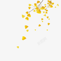秋天树叶背景图片实物秋天主题银杏叶落叶高清图片