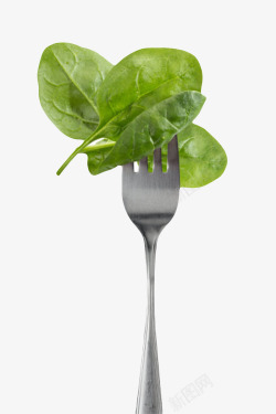 叉子叉叉子叉着的绿色叶子实物高清图片