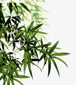 古典竹子装饰画竹子竹叶中国风中国元素茶高清图片