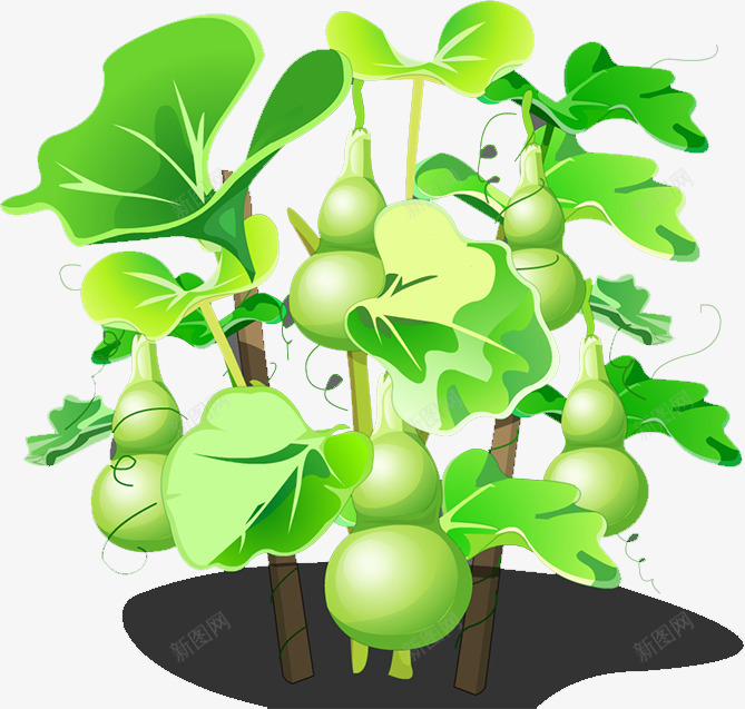 葫芦png免抠素材_新图网 https://ixintu.com 植被 瓜藤上的葫芦 绿叶 绿色瓜藤 葫芦 装饰 风景
