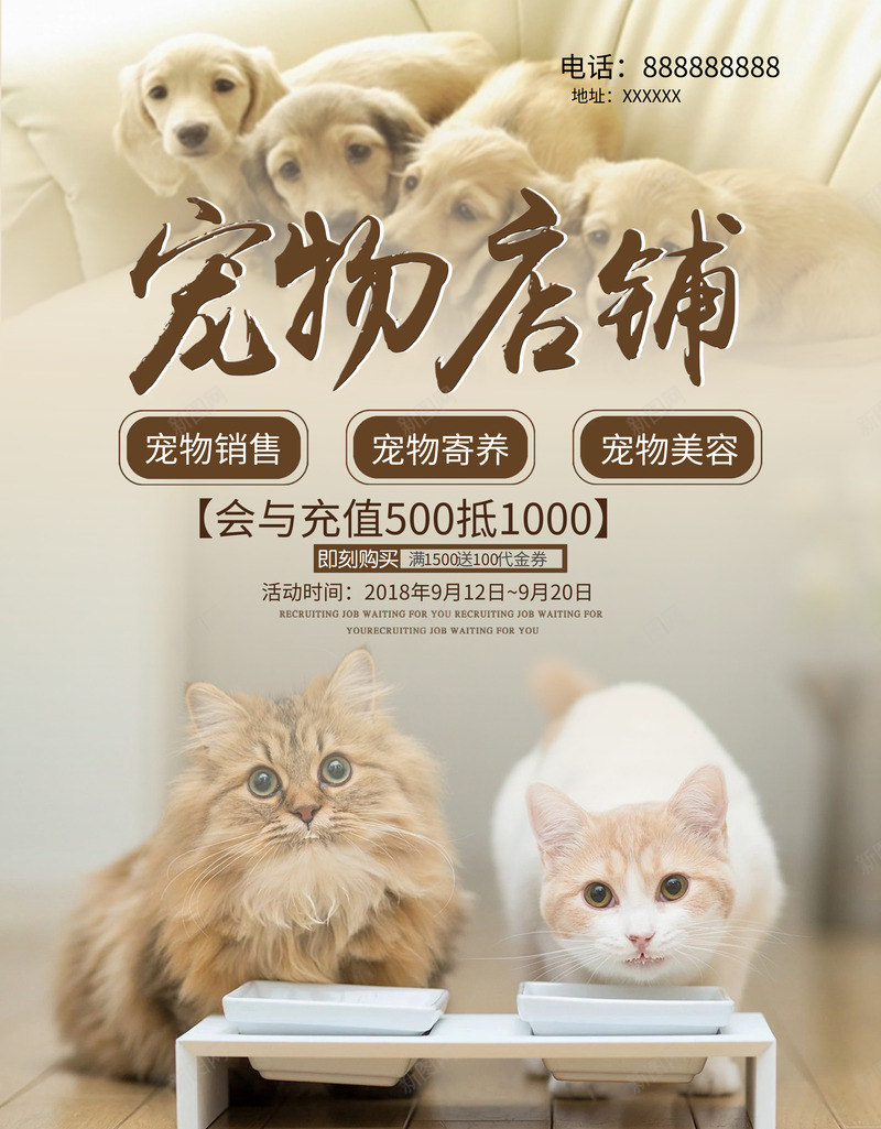 店铺海报创意宠物png_新图网 https://ixintu.com 创意 宠物 店铺 海报
