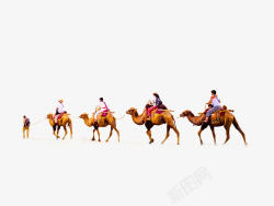 驼队行走的骆驼队高清图片
