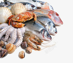 高清海鲜丸子海鲜鱼类高清图片