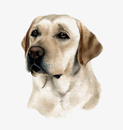 卡通cdr素材拉布拉多宠物犬图标高清图片