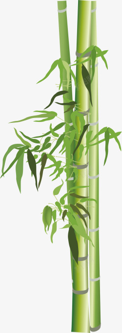 清明节手绘竹子矢量图素材