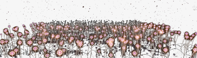 钻石花发光的花朵png免抠素材_新图网 https://ixintu.com 创意图案 发光的花朵 钻石花