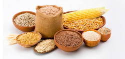 玉米健康五谷杂粮高清图片