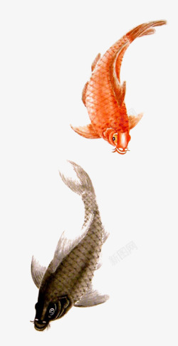 水墨红鲤鱼中国风素材