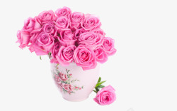 玫瑰花花瓶素材