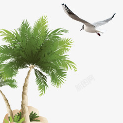 海鸥椰子树夏日风情夏天元素高清图片