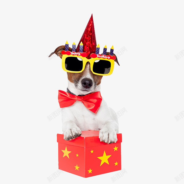 盒子上的狗png免抠素材_新图网 https://ixintu.com 帽子 狗狗 礼物盒 红色 领结