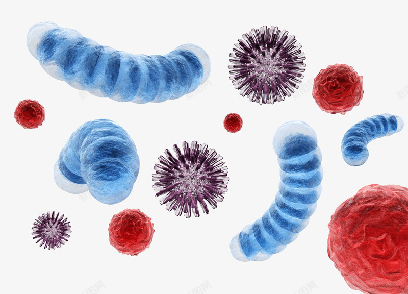 细菌png免抠素材_新图网 https://ixintu.com 微生物 显微镜 有害微生物素材 生物学 红色 蓝色