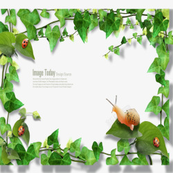 绿叶海蜗牛绿叶边框绿叶相框花边高清图片